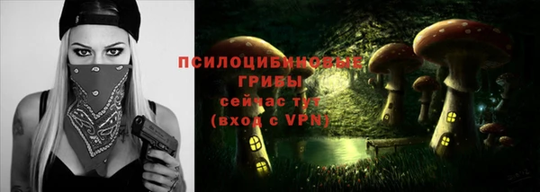apvp Ладушкин