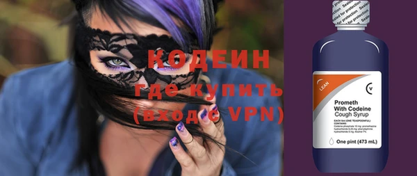 крисы Лабытнанги