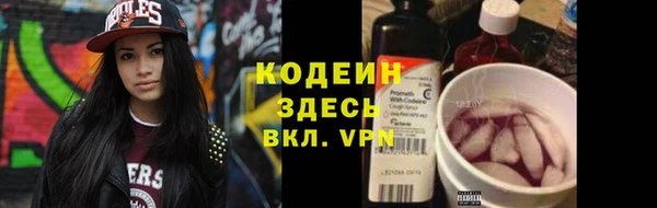крисы Лабытнанги