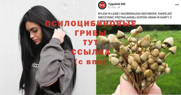 трава Кукмор