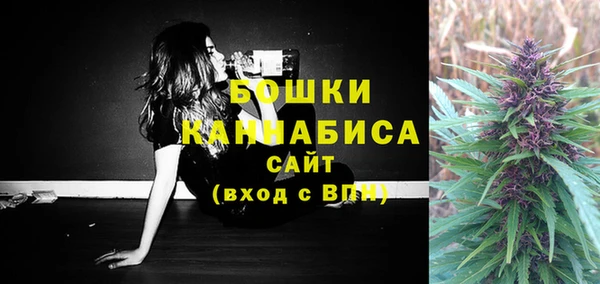 крисы Лабытнанги