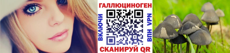 KRAKEN ссылка  Мосальск  Галлюциногенные грибы MAGIC MUSHROOMS 